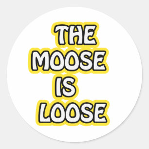 The Moose Is Loose Funny Moose Saying Classic Round Sticker