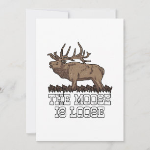 The Moose is loose Holiday Card