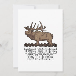 The Moose is loose Thank You Card