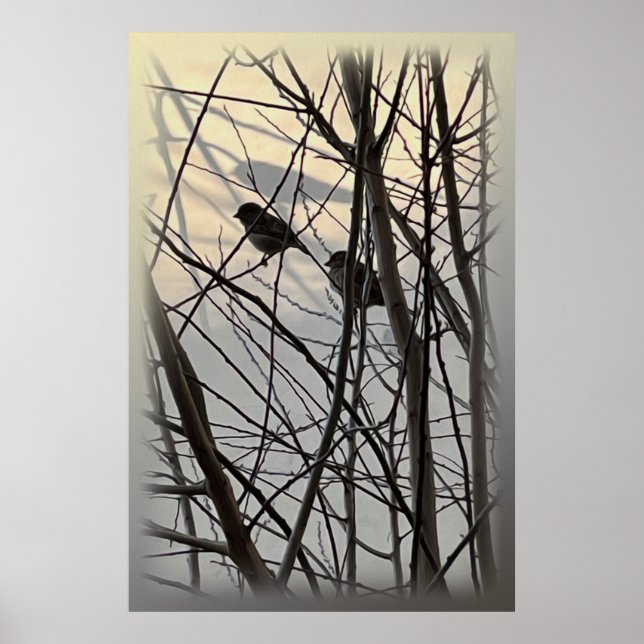 The morning birds poster (Front)