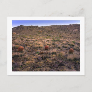 " The Morning Trifecta " Postcard