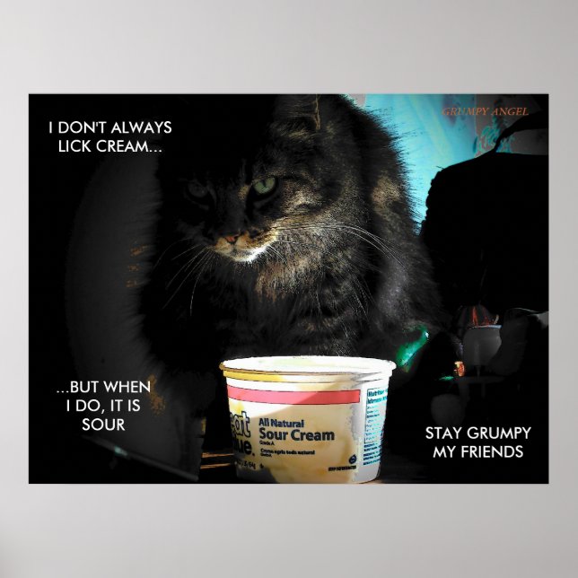 The Most Interesting Cat in the World Poster (Front)
