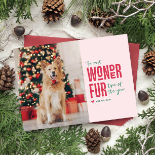The Most Wonderfur Time Pet Holiday Photo Card
