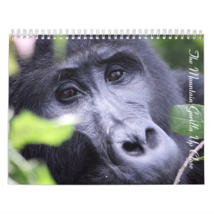The Mountain Gorilla Up Close/ No US Holidays Calendar