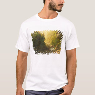 The Mountain Torrent, c.1820-30 (oil on canvas) T-Shirt
