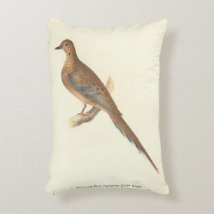 The Mourning Dove (Carolina Turtle Dove) NY Birds Decorative Cushion