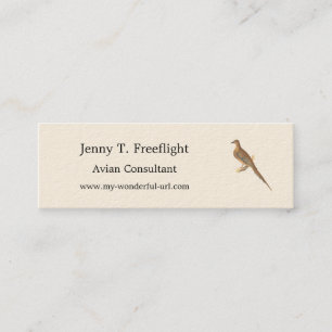 The Mourning Dove (Carolina Turtle Dove) NY Birds Mini Business Card