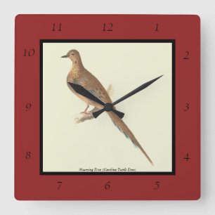 The Mourning Dove (Carolina Turtle Dove) NY Birds Square Wall Clock