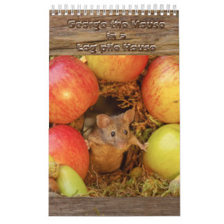 The Mouse in the log pile House  Calendar