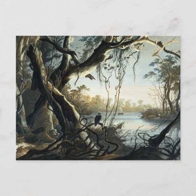 The Mouth of the Fox River, Indiana, plate 5 from Postcard (Front)