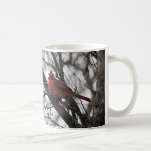 The Mr. Mug