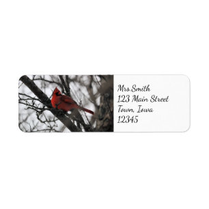 The Mr. Return Address Label