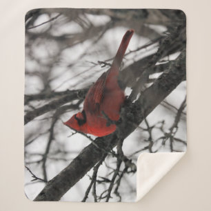 The Mr. Sherpa Blanket