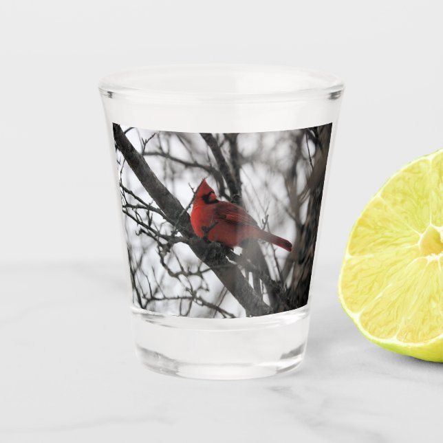 The Mr. Shot Glass (Front)