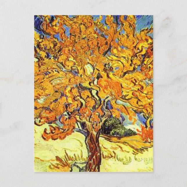 The Mulberry Tree, Vincent Van Gogh Postcard (Front)