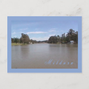 The Murray Postcard