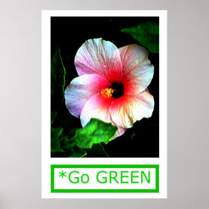 The MUSEUM Artist Series by jGibney  Go Hibiscus Poster