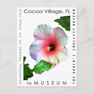 The MUSEUM Artist Series by jGibney  Hibiscus1 Postcard