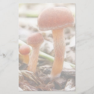 The Mushroom Family Stationery