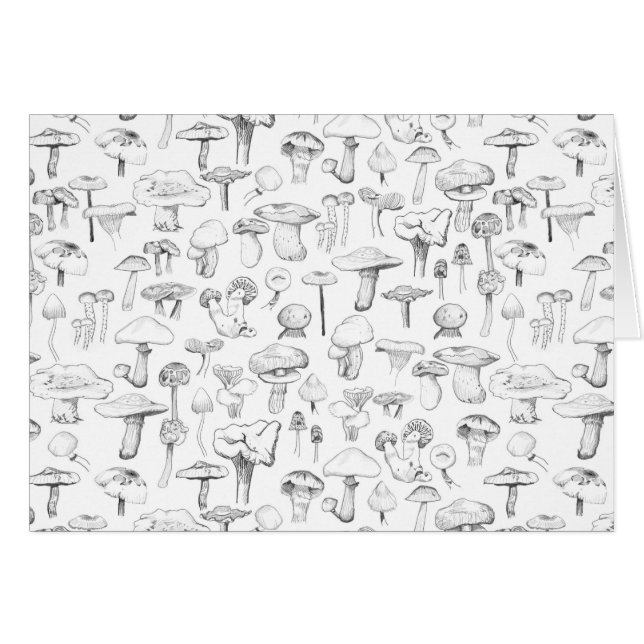 The Mushroom Gang (Front Horizontal)