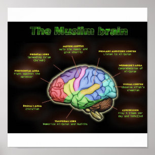 THE MUSLIM BRAIN Poster