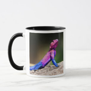 The Mwanza Flat-headed Agama on rock Mug