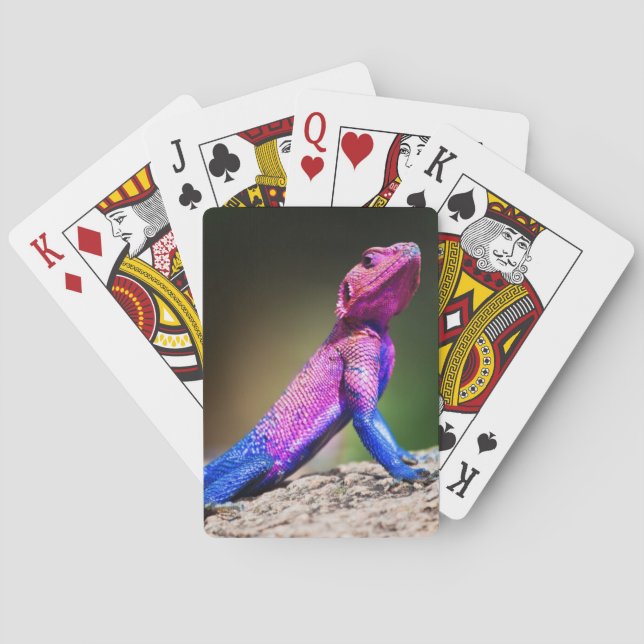 The Mwanza Flat-headed Agama on rock Playing Cards (Back)