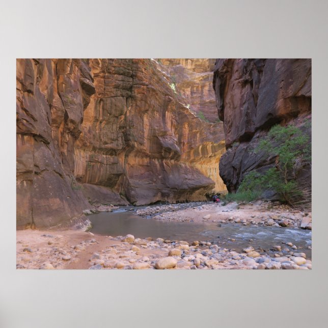 The Narrows Zion National Park Poster (Front)