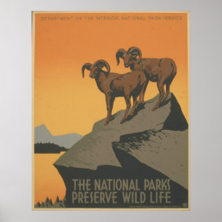 The National Parks Poster