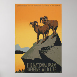 The National Parks Preserve Wild Life Poster