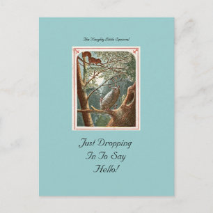 The Naughty Little Squirrel Postcard