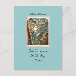 The Naughty Little Squirrel Postcard