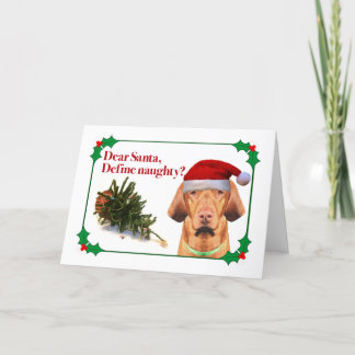 The Naughty Vizsla Holiday Card