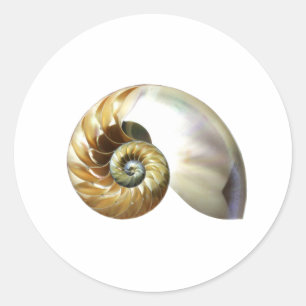 The Nautilus Shell Classic Round Sticker