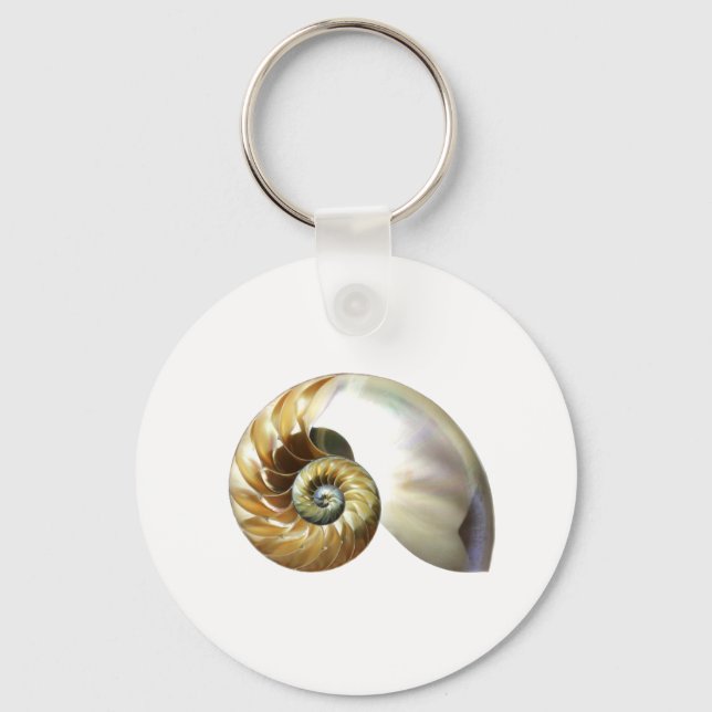 The Nautilus Shell Key Ring (Front)