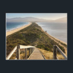 The Neck Bruny Island Postcard<br><div class="desc">The Neck,  Bruny Island,  Tasmania,  Australia.</div>