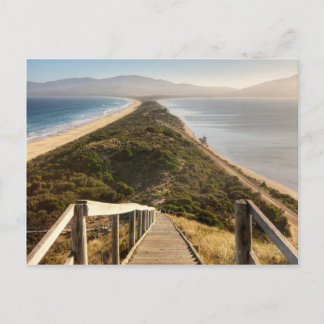 The Neck Bruny Island Postcard