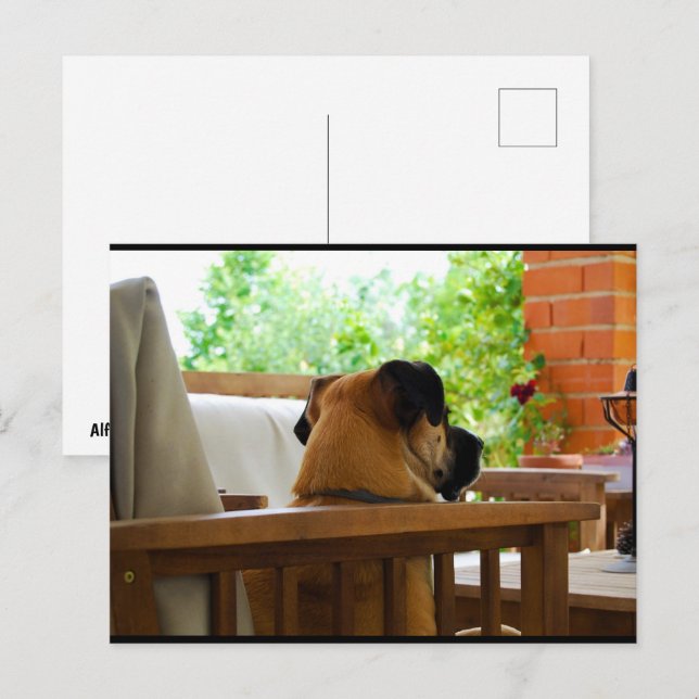 The Neighborhood Watch Postcard (Front/Back)