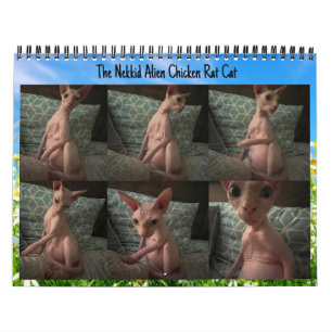 The Nekkid Alien Calendar 2024