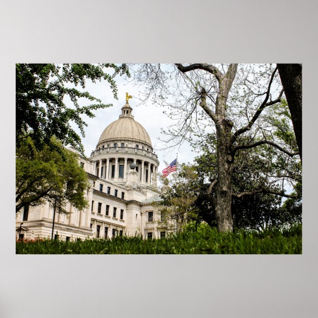 The New Capitol Building Poster (Front)