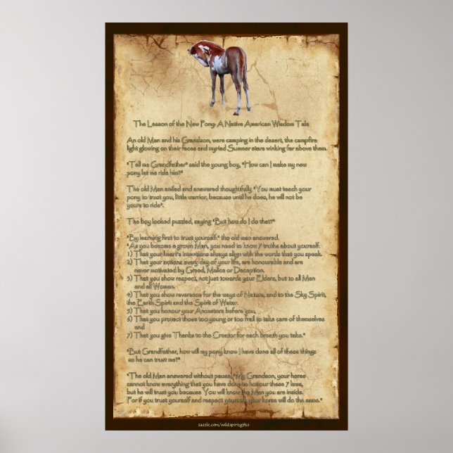 The New Pony Lesson: Native American Wisdom Poster (Front)