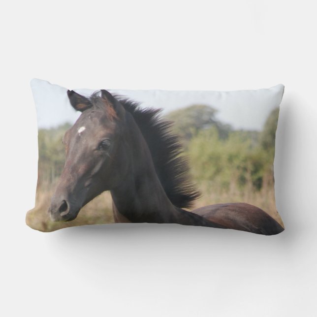 The New Pony Lumbar Cushion (Front)