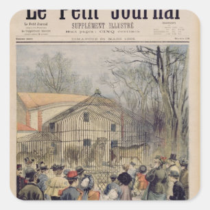 The New Wildcat House at the Jardin des Square Sticker