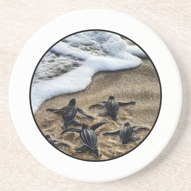 The newborn instinct coaster (Front)