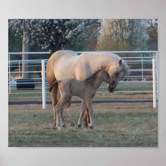 The Newborn Poster (Front)