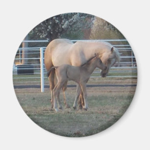 The Newborn round magnet