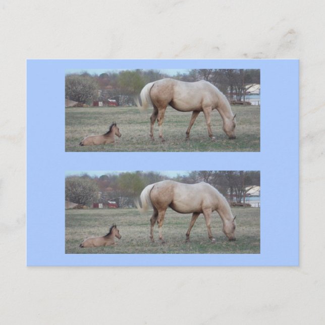 The Newcomer Bookmarkers Postcard (Front)