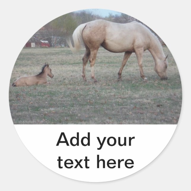 The Newcomer Stickers (Front)