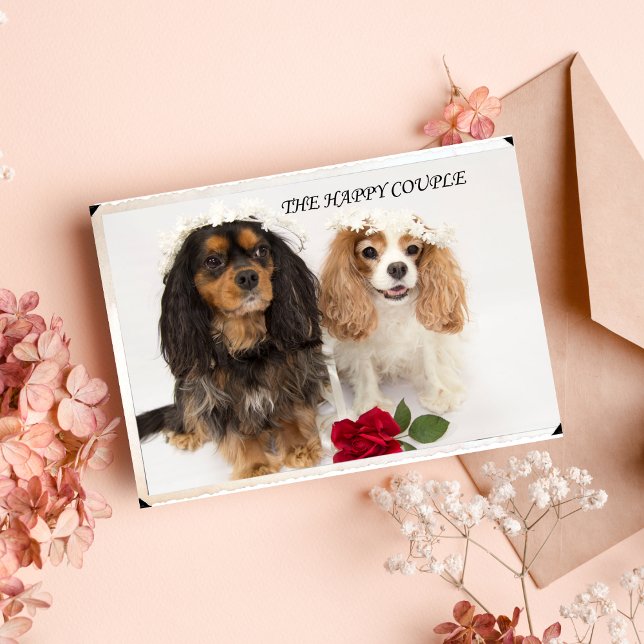 The Newly Weds Cavalier King Charles Spaniel Card (Creator Uploaded)