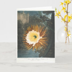 The Night-Blowing Cereus (1799–1807) Card
